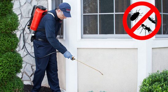 Karabağlar Tahtakurusu İlaçlama böcek ilaçlama ve haşere kontrolü — ilaclama-tr.com